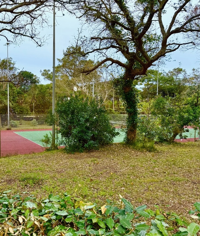 Luxury Lifestyle Estates