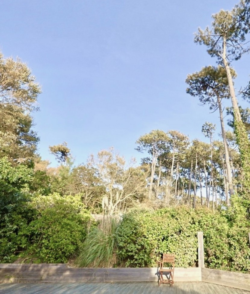 Luxury Lifestyle Estates