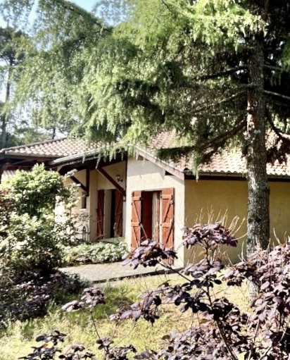 Luxury Lifestyle Estates