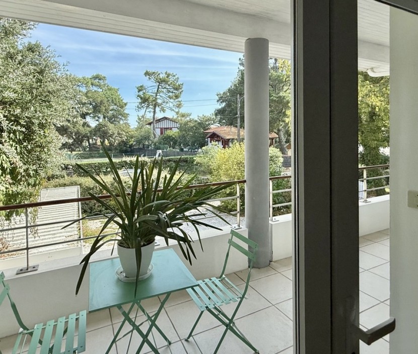 Luxury Lifestyle Estates