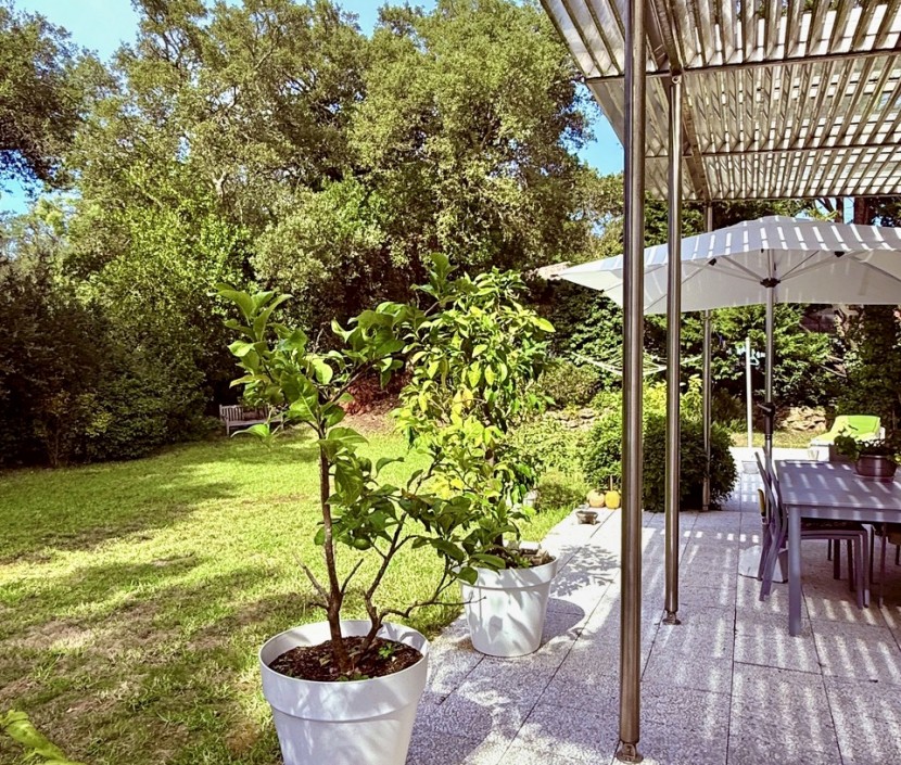 Luxury Lifestyle Estates