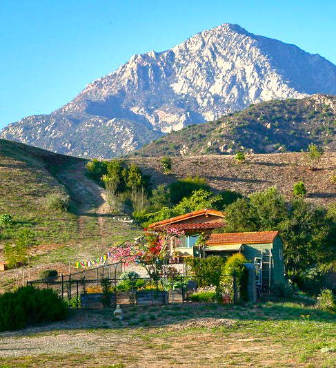 Luxury Lifestyle Estates