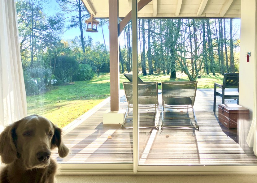 Luxury Lifestyle Estates