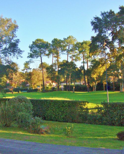 Luxury Lifestyle Estates