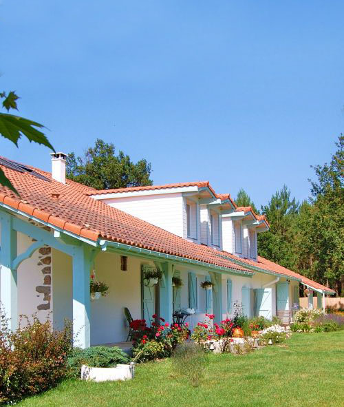 Luxury Lifestyle Estates
