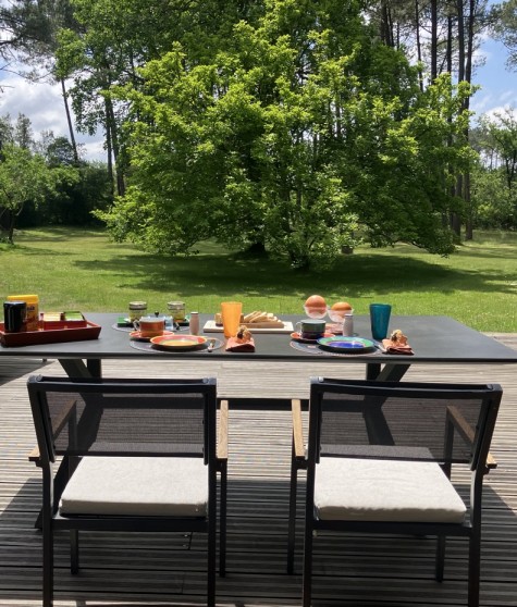 {short_descriptionFR}